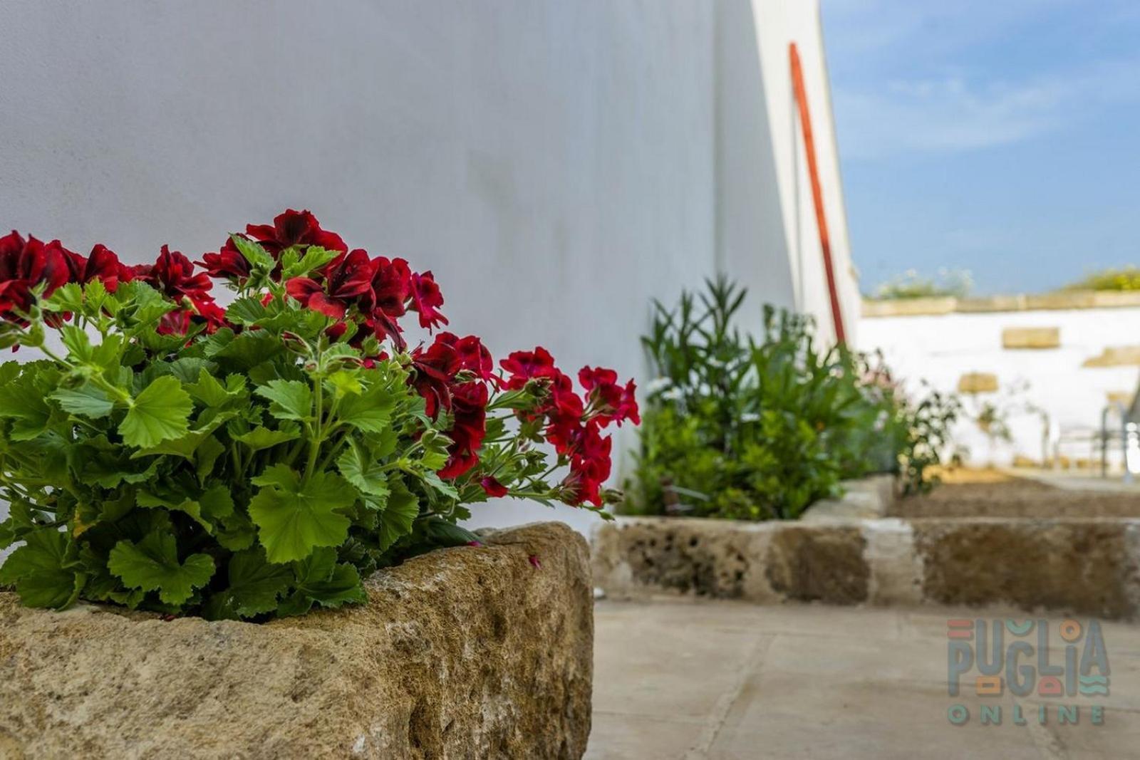 B&B Luce Boutique Felline Esterno foto